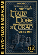 A DAILY DOSE OF TORAH SERIES 2 - VOLUME 13: Weeks of Ki Savo through Ha'azinu